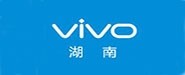 湖南特音电子有限公司