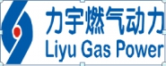 湖南省力宇燃气动力有限公司