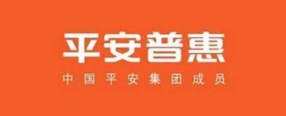 平安普惠信息服务有限公司长沙新建西路分公司