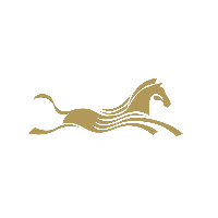 深圳千里马国际猎头有限公司