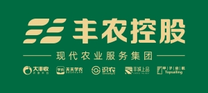 深圳市丰农控股有限公司