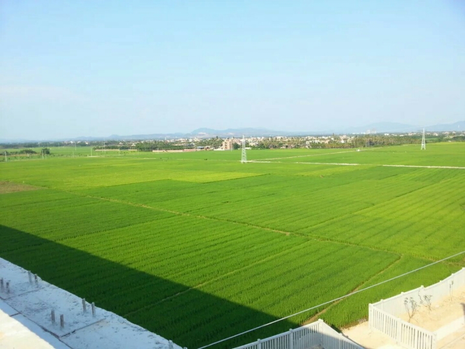 生产基地