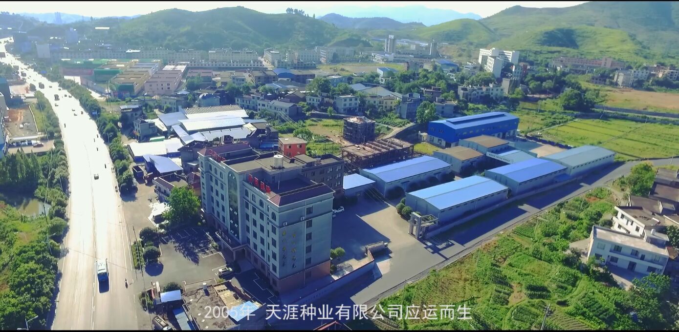 全景1