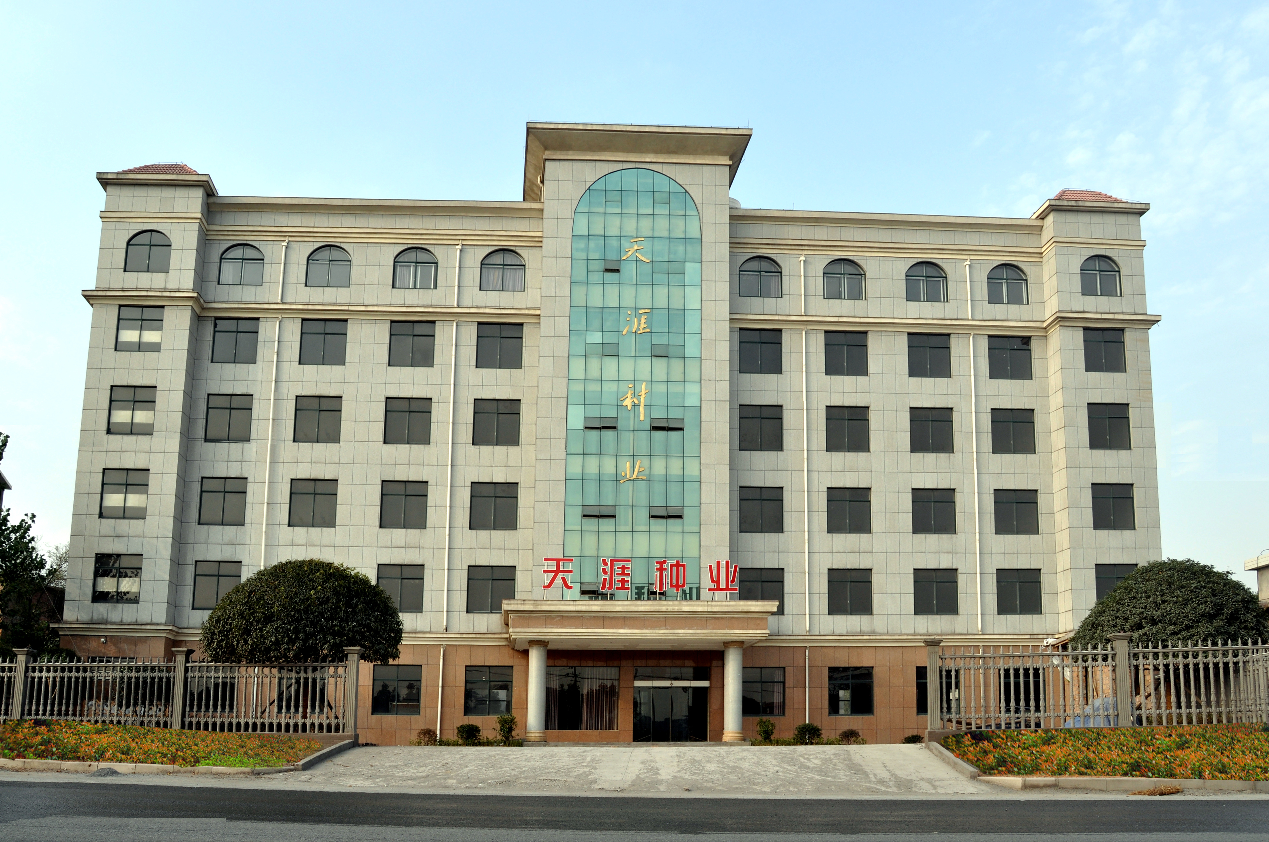 总部大楼新照1