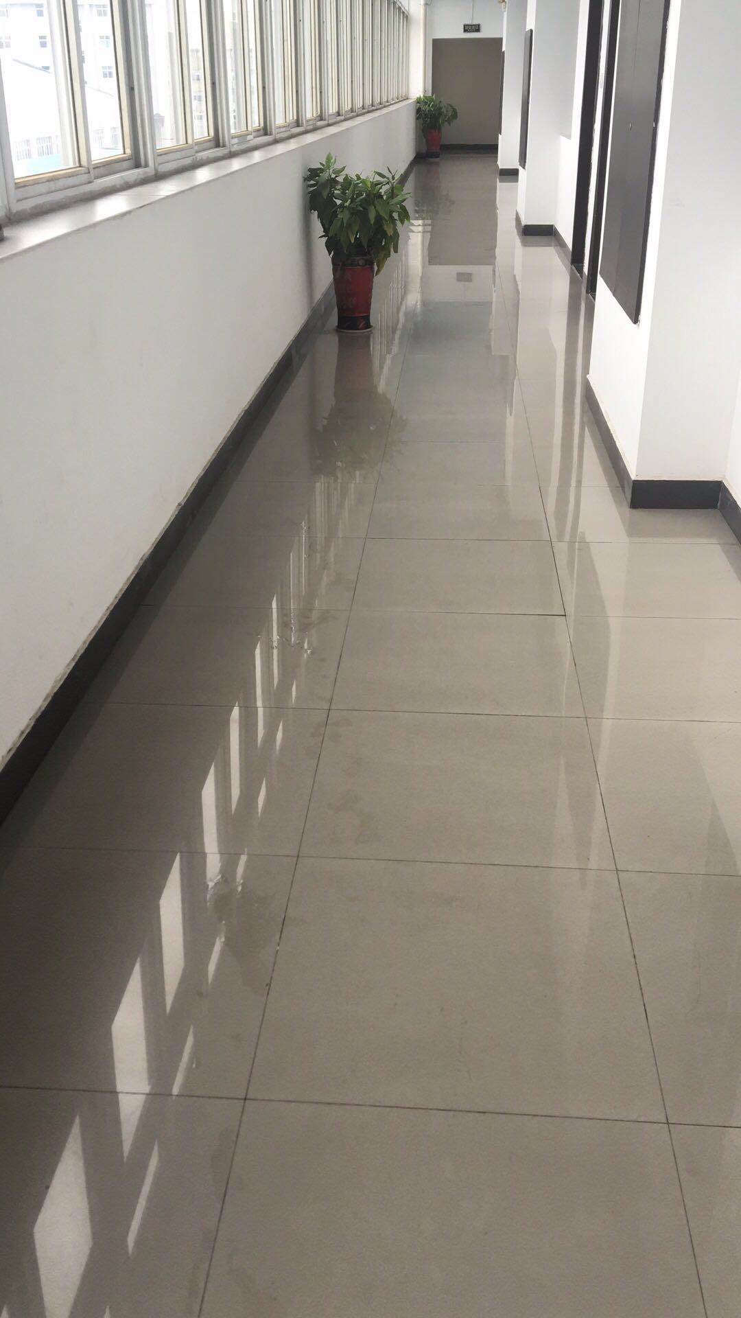 740403686353074228