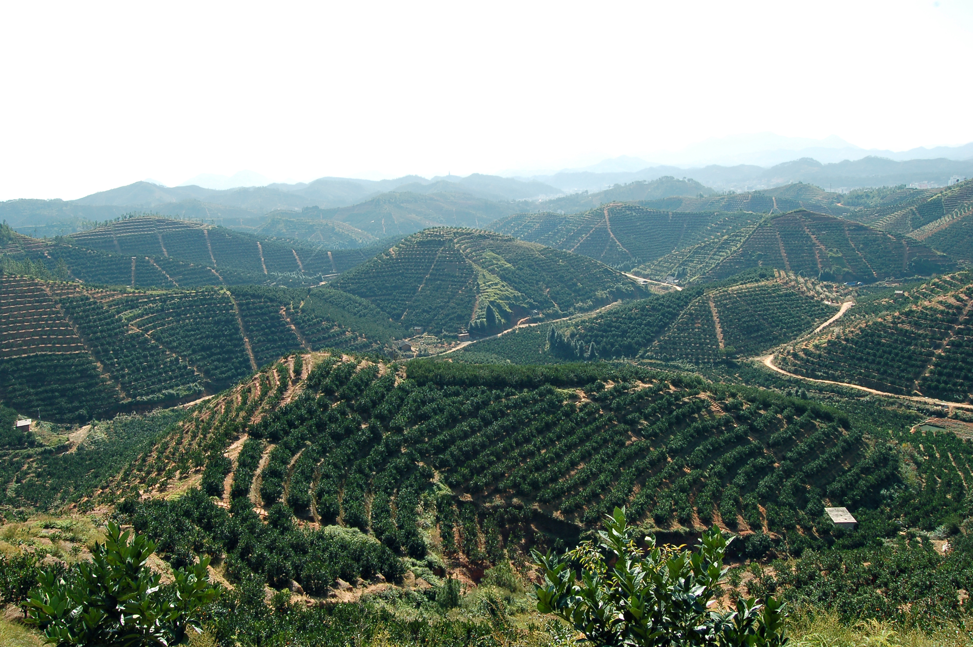 山三