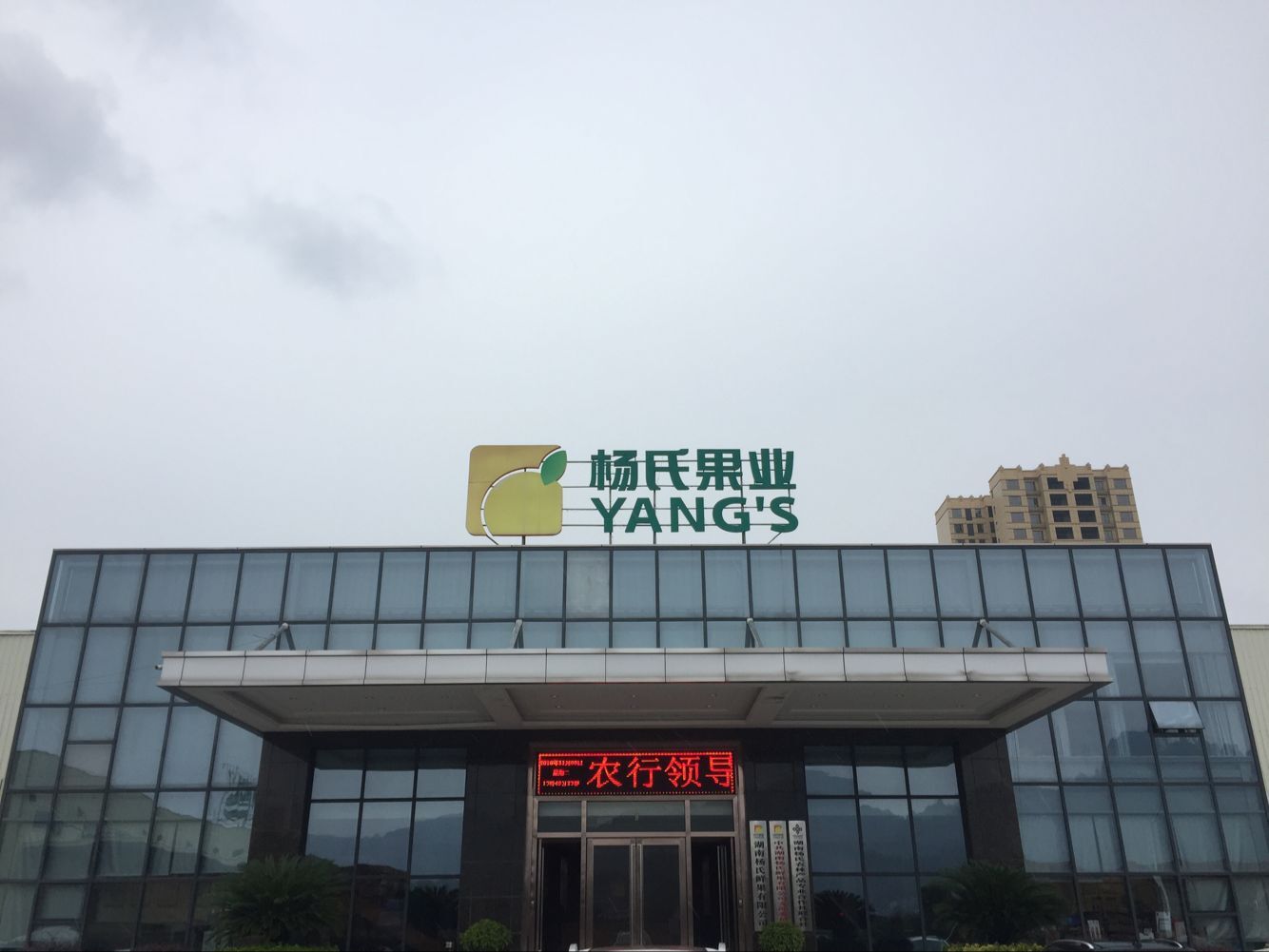 公司整体外观