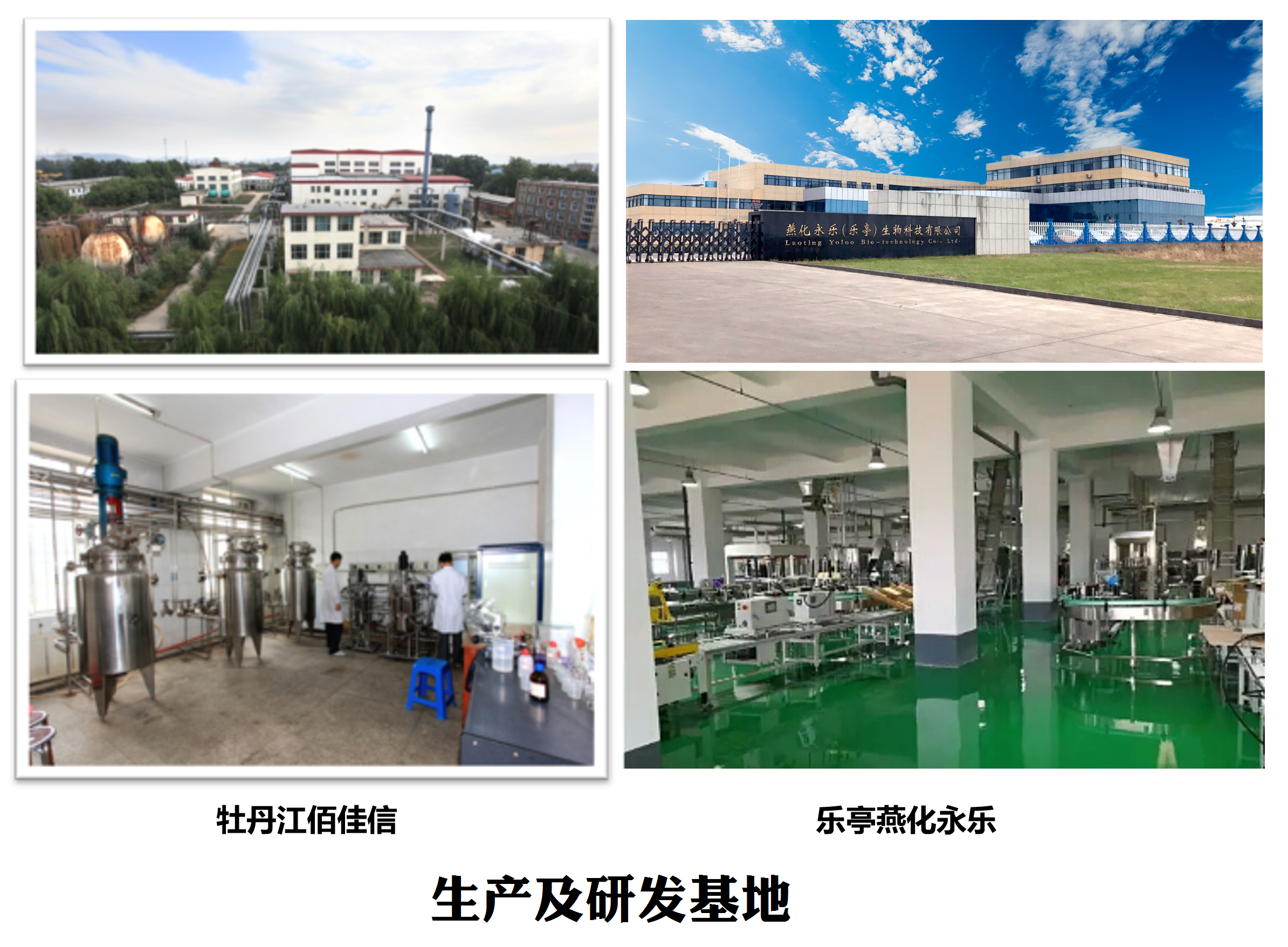 生产及研发基地