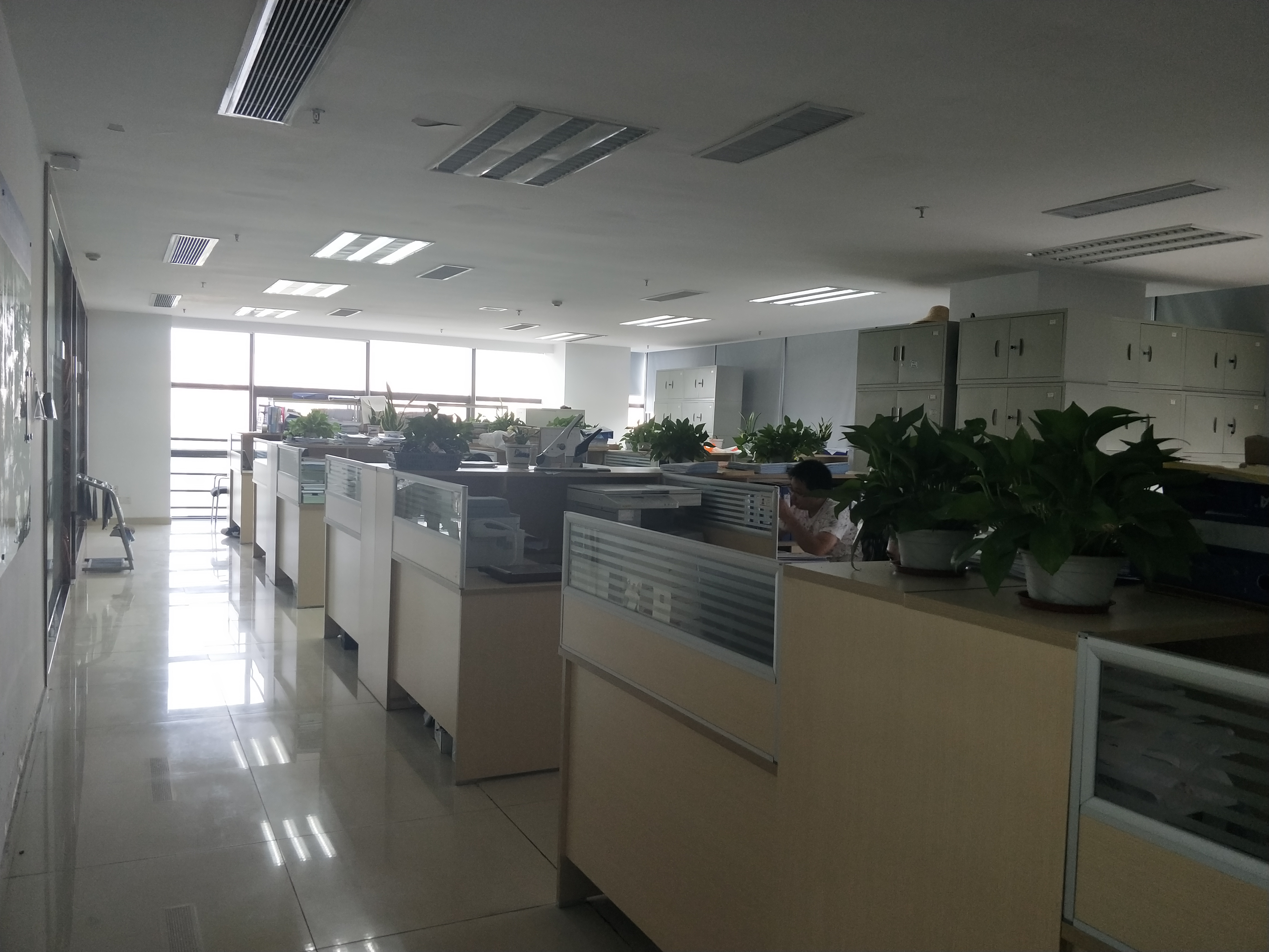 公司大办公室