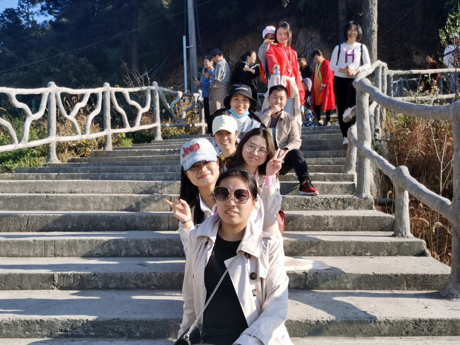 9朵金花.jpg