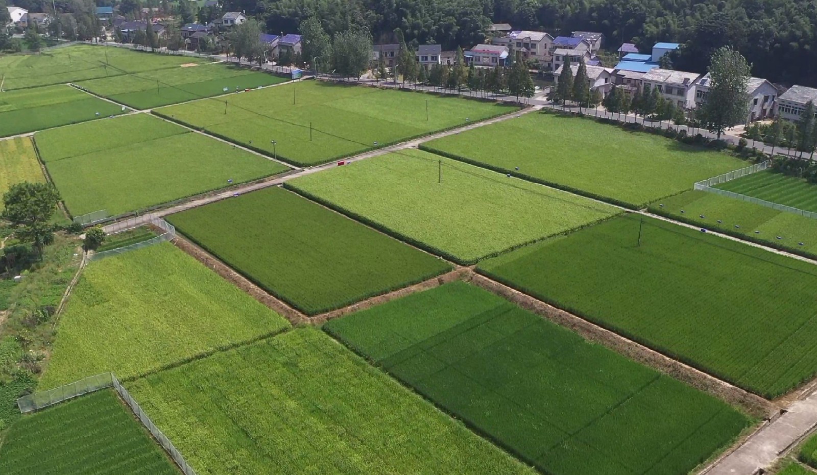 科研基地航拍3.jpg